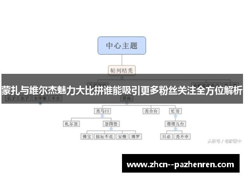 蒙扎与维尔杰魅力大比拼谁能吸引更多粉丝关注全方位解析