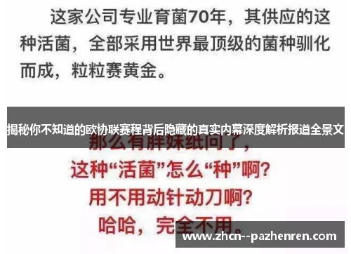 揭秘你不知道的欧协联赛程背后隐藏的真实内幕深度解析报道全景文 揭秘你不知道的欧协联赛程背后隐藏的真实内幕深度解析报道全景文